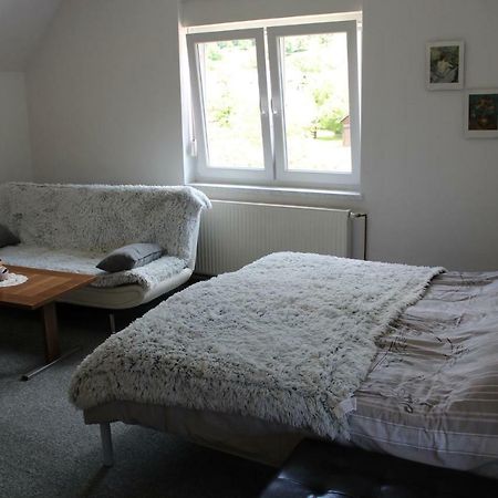 R&G Apartment Zirovnica Eksteriør billede