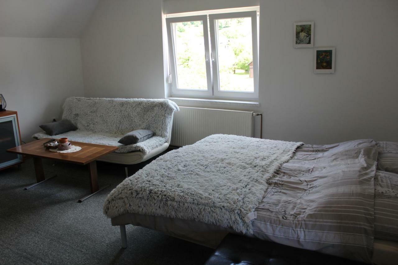 R&G Apartment Zirovnica Eksteriør billede
