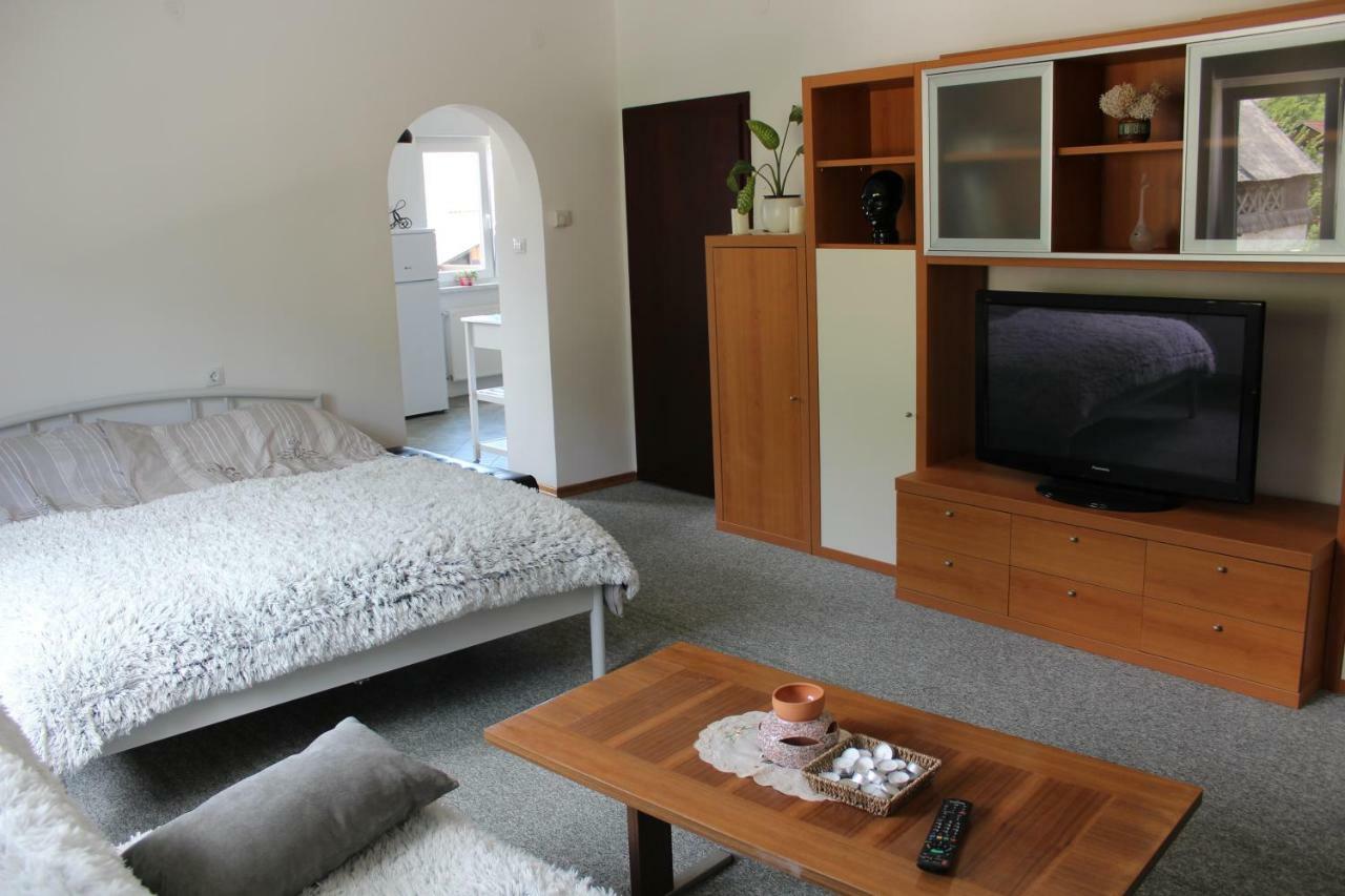 R&G Apartment Zirovnica Eksteriør billede